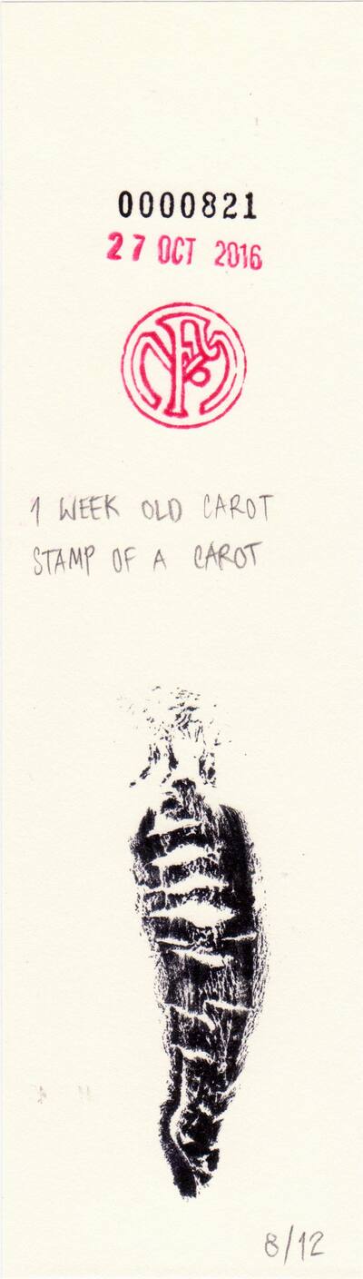 1 week old carot stamp of a carot
