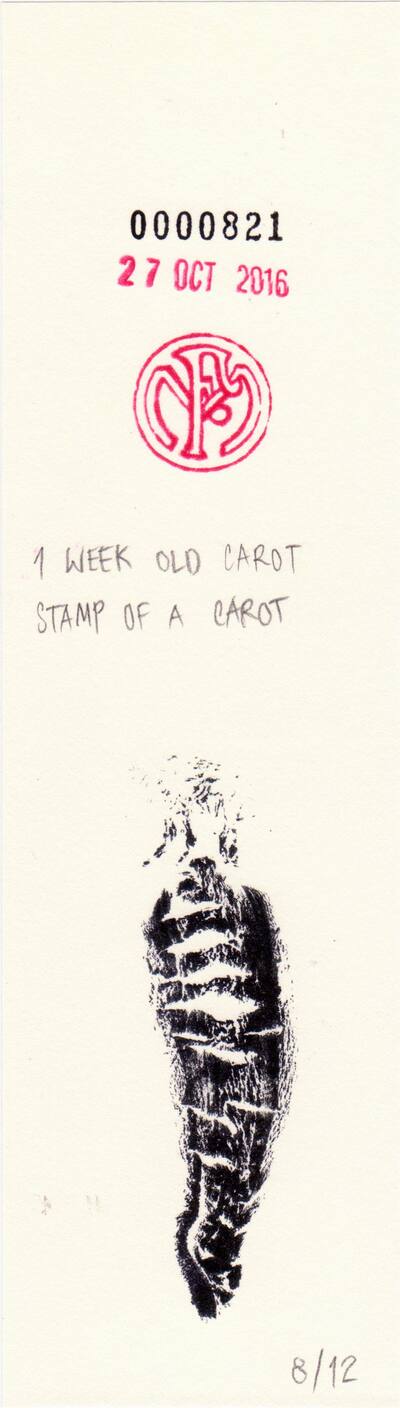 1 week old carot stamp of a carot
1 week old carot stamp of a carot