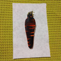 artbymail / 1 week old carot stamp of a carot
