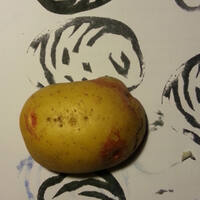 artbymail / 1 week old potato stamp of a potato
