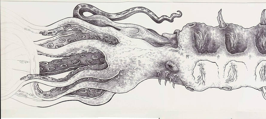 32€ o metro
32€ o metro