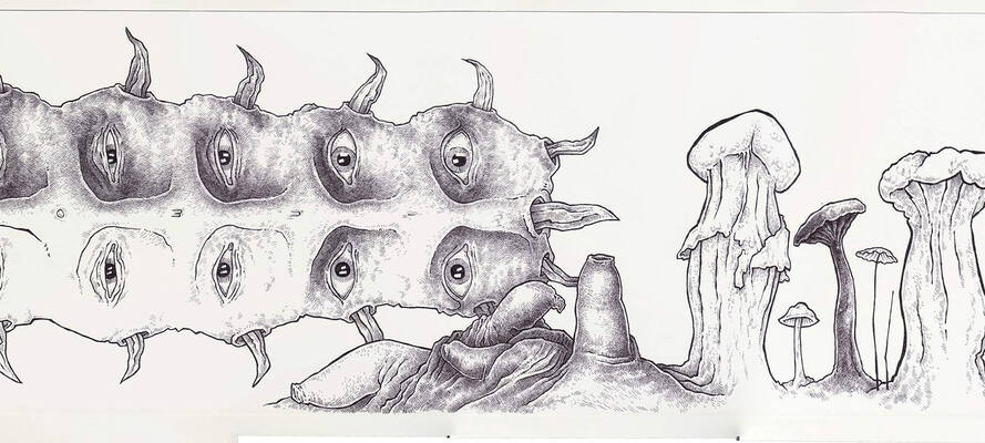 32€ o metro
32€ o metro