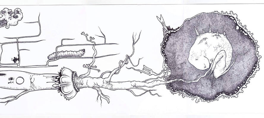 32€ o metro
32€ o metro