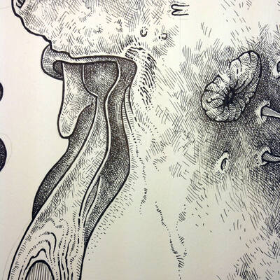 32€ o metro
32€ o metro