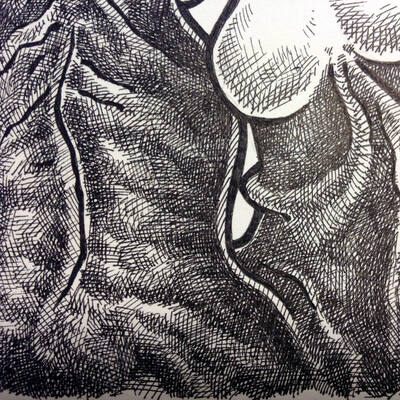 32€ o metro
32€ o metro