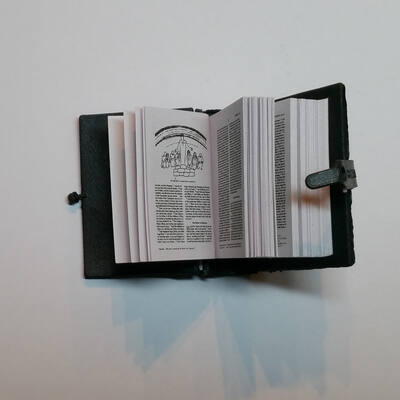 Disposable de-worming kit
Disposable de-worming kit