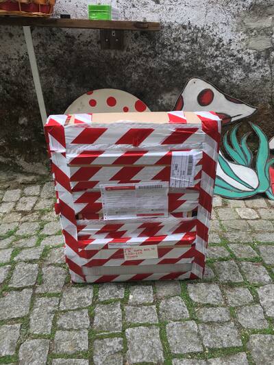 Fungus Vulgaris
Fungus Vulgaris