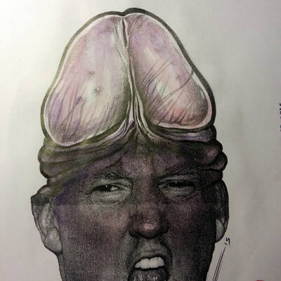 Give Donald Chump New Hair
Give Donald Chump New Hair