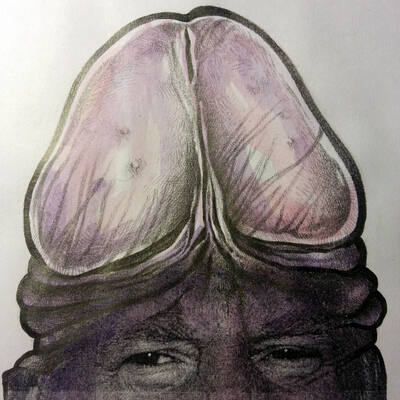 Give Donald Chump New Hair
Give Donald Chump New Hair