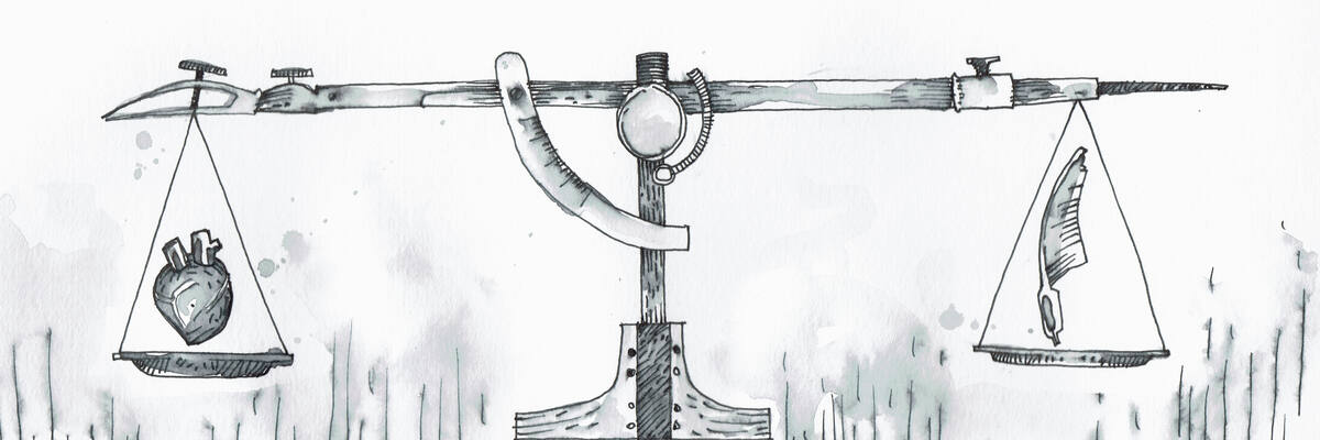 Value Judgment
Value Judgment